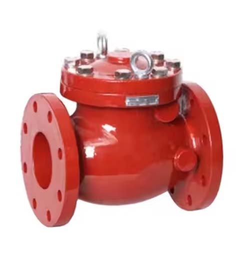 Non Return Check Valve